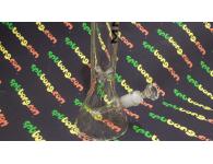 MNML Milky Triangle 35 | <b>������</b> | SpbBongs.com