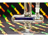 Бонг Наутилус | Black Leaf | SpbBongs.com Бонг Наутилус | Black Leaf | SpbBongs.com